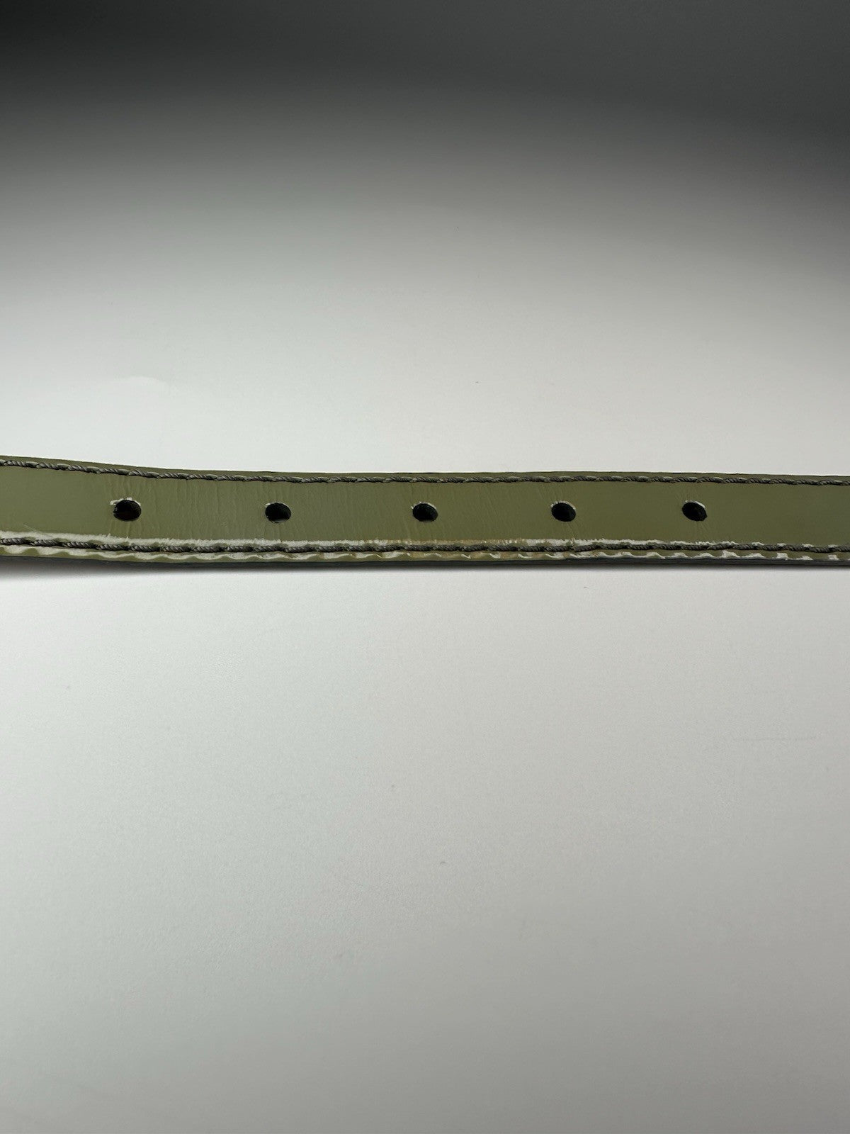 Dolce & Gabbana Pistachio Green Belt Womens 30 Inch / 75cm